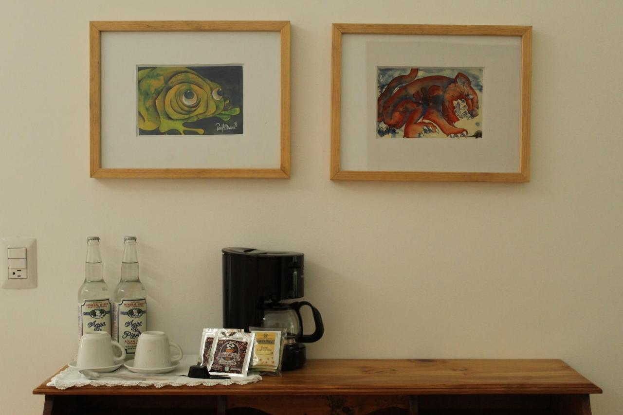 La Cochinilla Hotel Boutique Oaxaca Εξωτερικό φωτογραφία