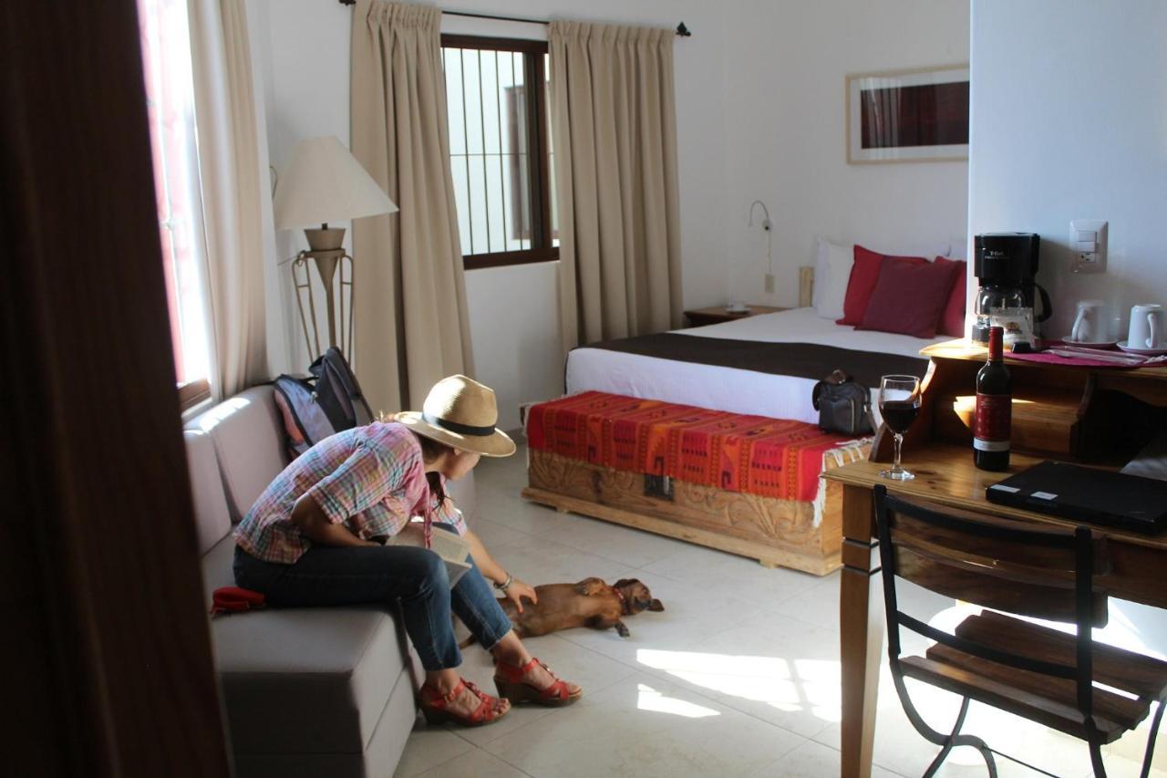 La Cochinilla Hotel Boutique Oaxaca Εξωτερικό φωτογραφία