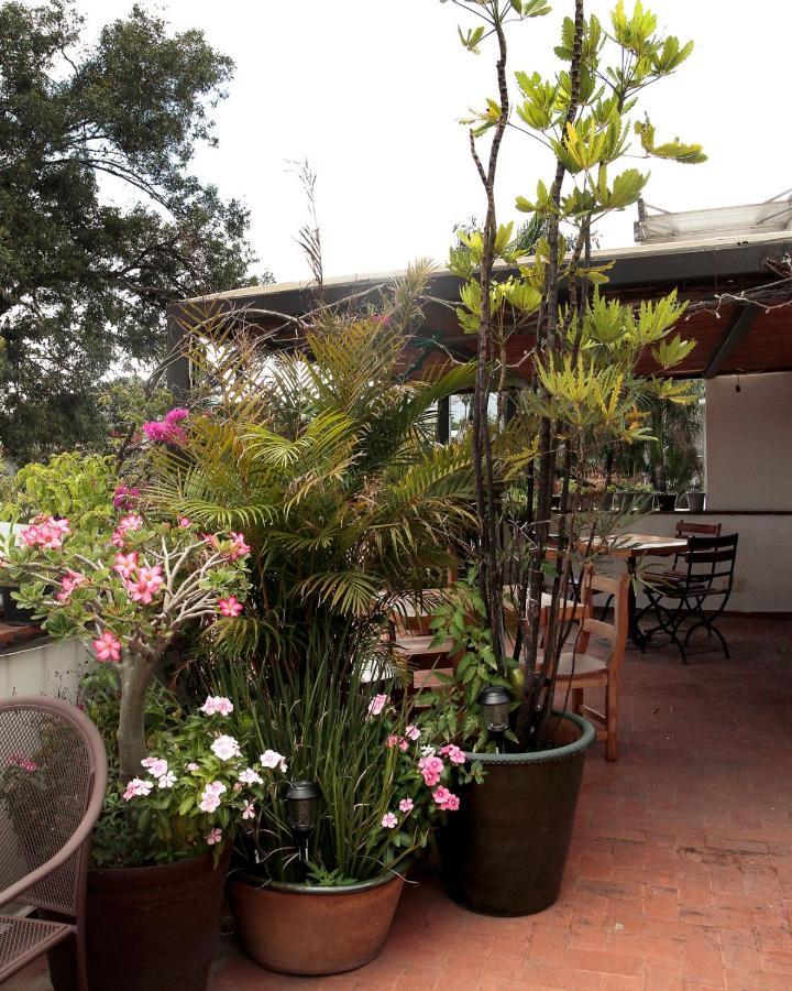 La Cochinilla Hotel Boutique Oaxaca Εξωτερικό φωτογραφία