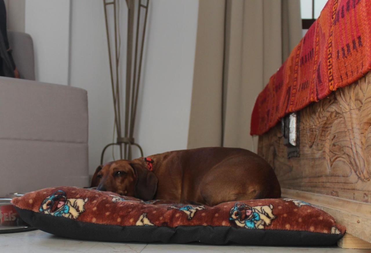 La Cochinilla Hotel Boutique Oaxaca Εξωτερικό φωτογραφία